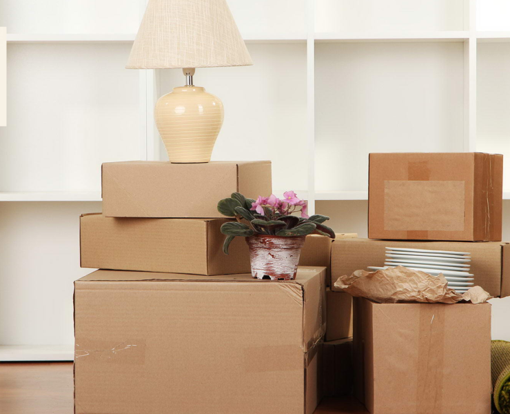 Why Cheap Isn’t Always Better in Residential Removals